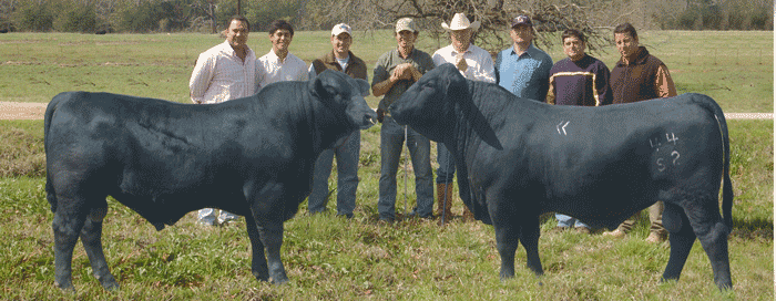 Welcome to Cow Creek Ranch
